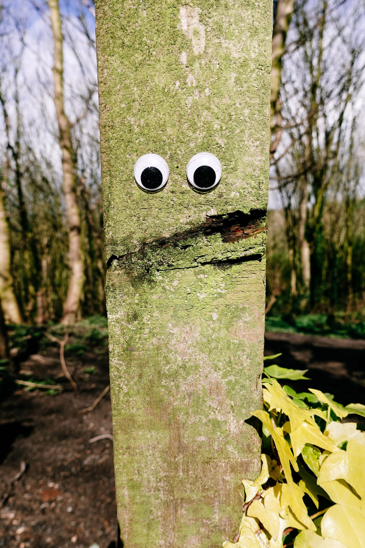 Fence Post With Stick on Eyes