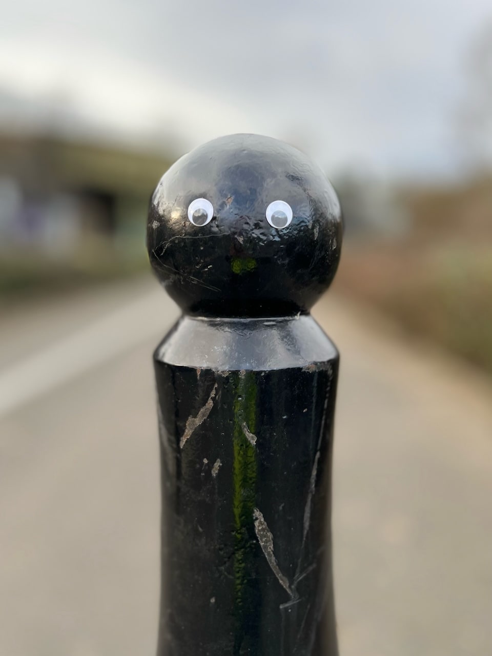 Post With Stick on Eyes