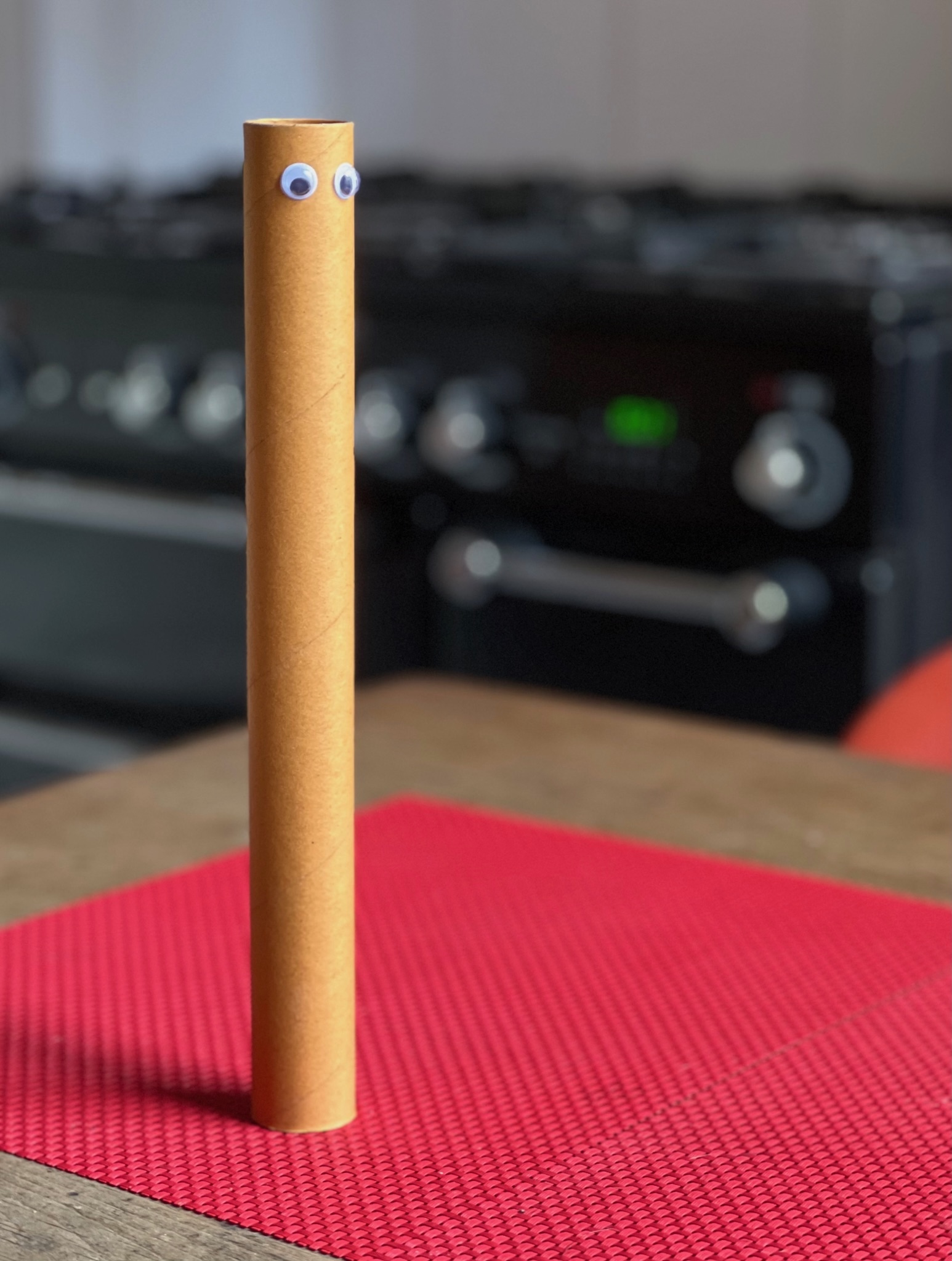 Empty Kitchen Roll Tube With Stick on Eyes